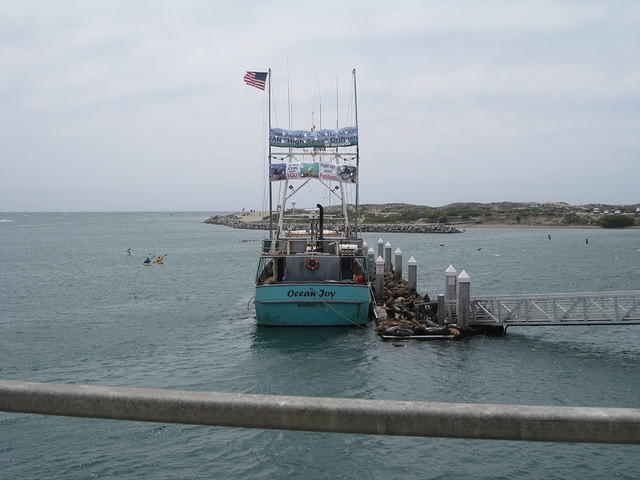 IMG 0843