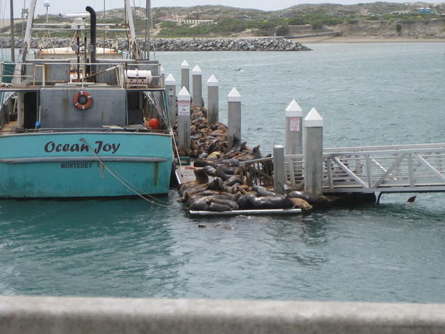 IMG 0844