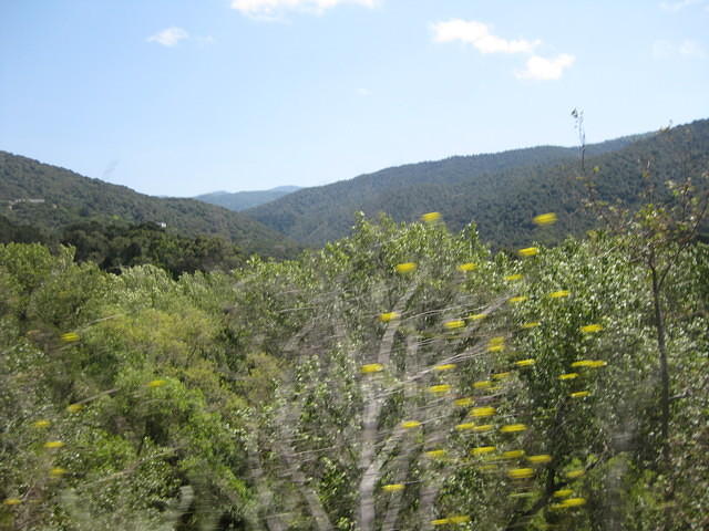 IMG 0849