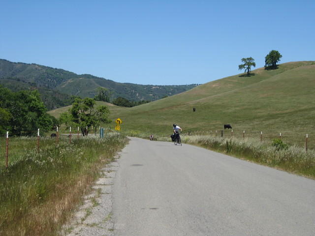 IMG 0855