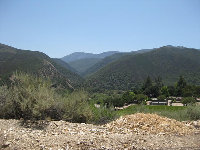 IMG 0858