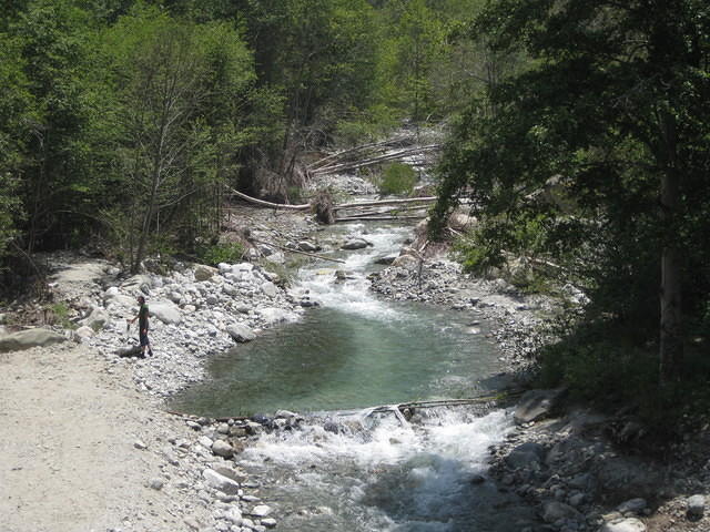 IMG 0871