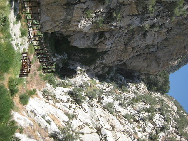 IMG 0874