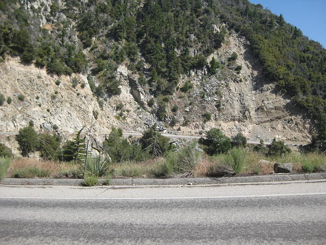 IMG 0875