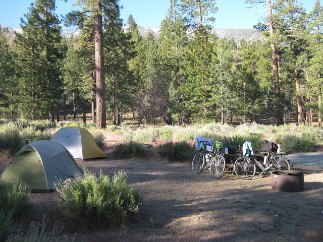 IMG 0876