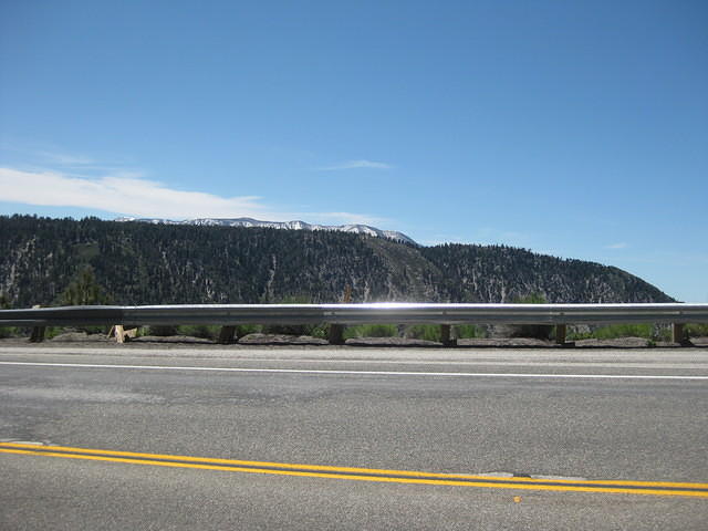 IMG 0882