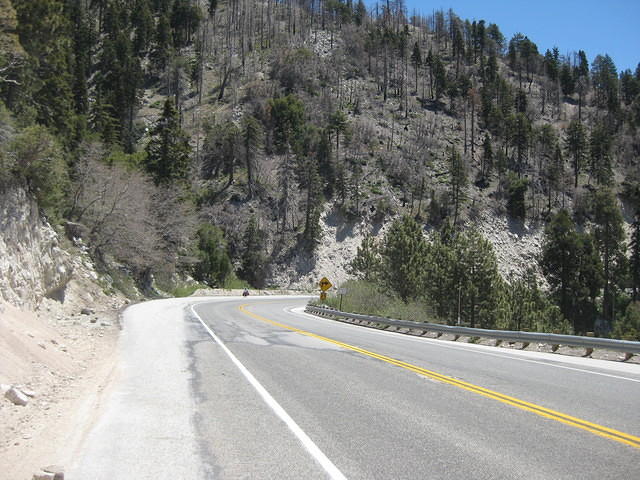 IMG 0884