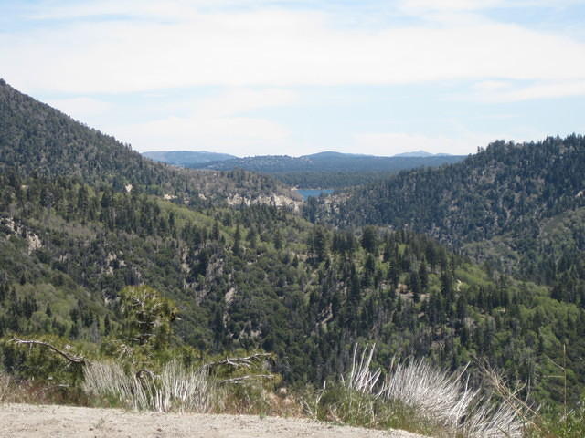 IMG 0888