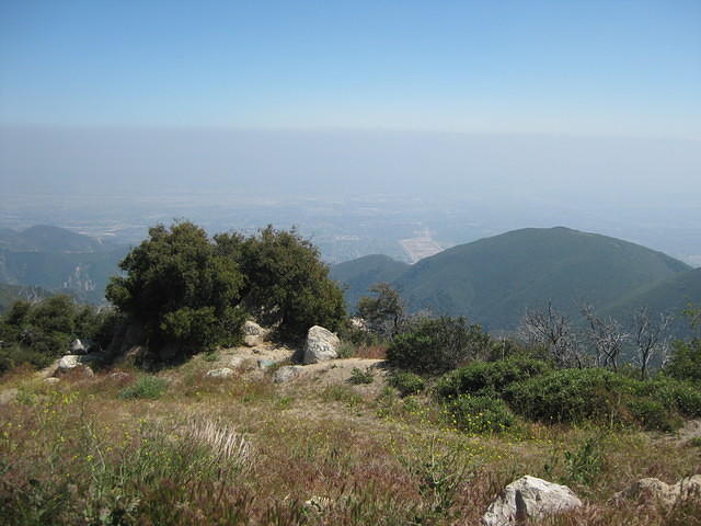 IMG 0890
