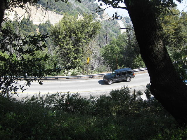 IMG 0892