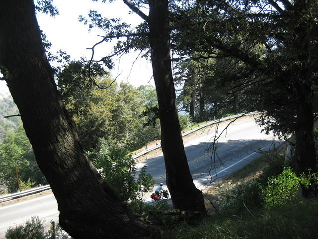 IMG 0893