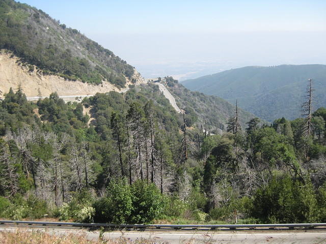 IMG 0894