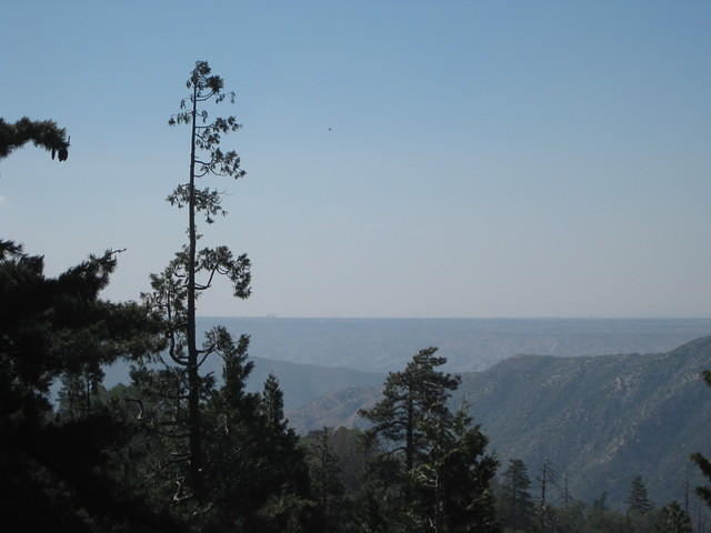 IMG 0896