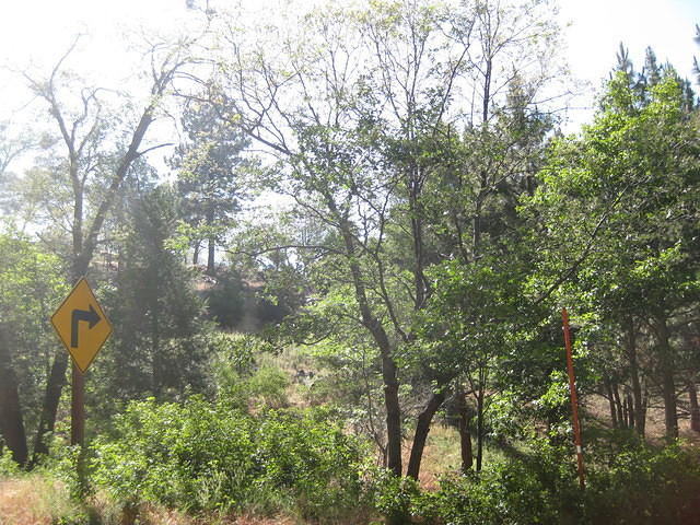 IMG 0897