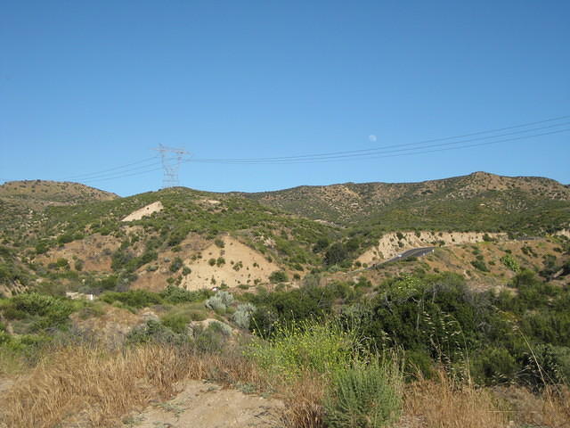 IMG 0903