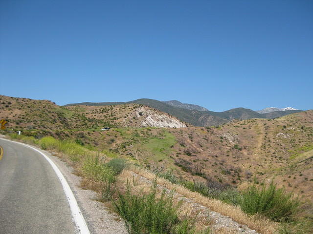 IMG 0905
