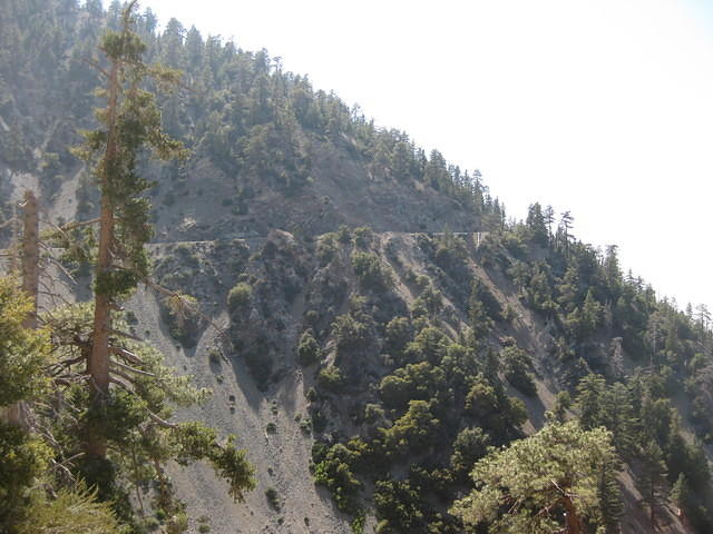 IMG 0912