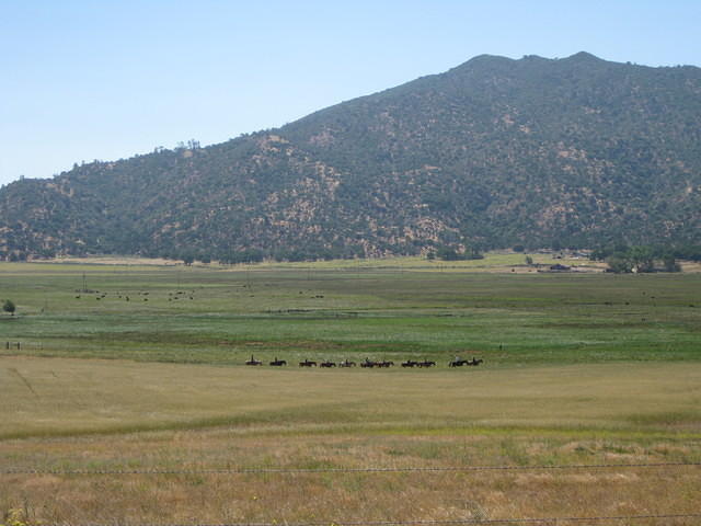 IMG 0935