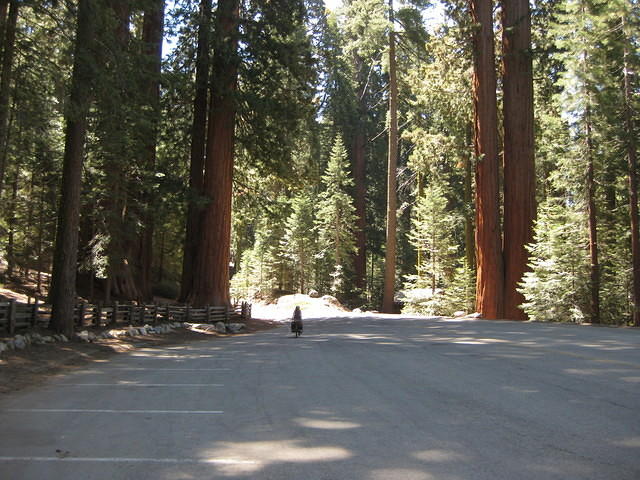 IMG 0947
