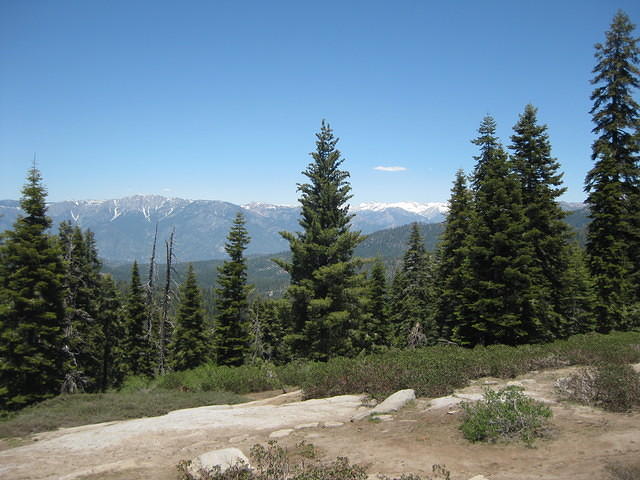 IMG 0949