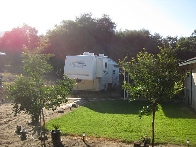 IMG 0950
