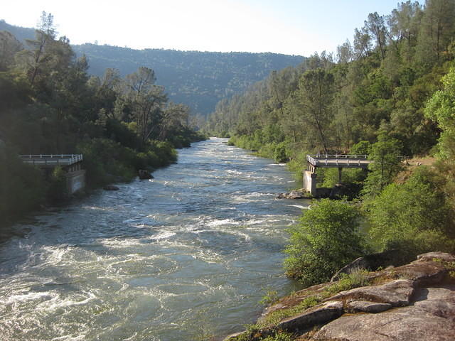 IMG 0953