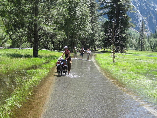 IMG 0955