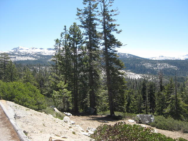 IMG 0958
