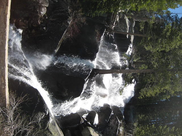 IMG 0959