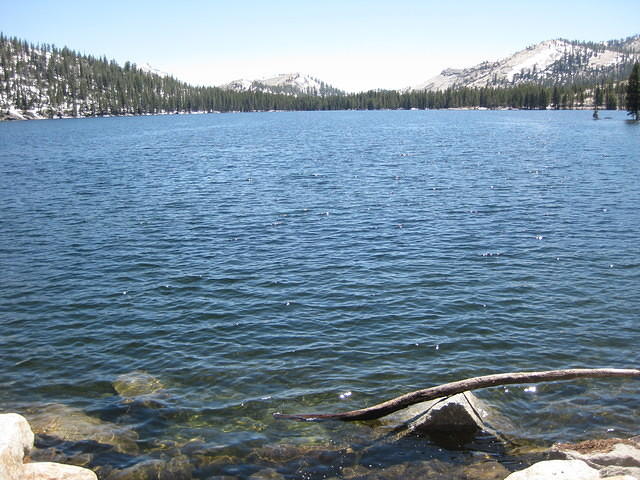 IMG 0964