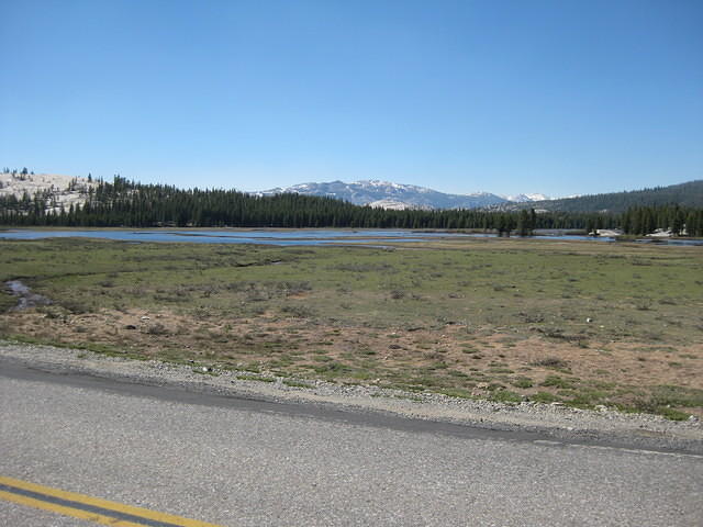 IMG 0966