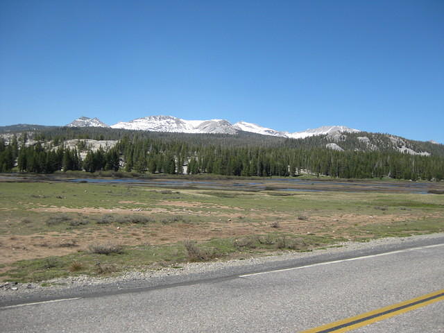 IMG 0967