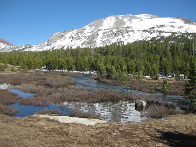 IMG 0969