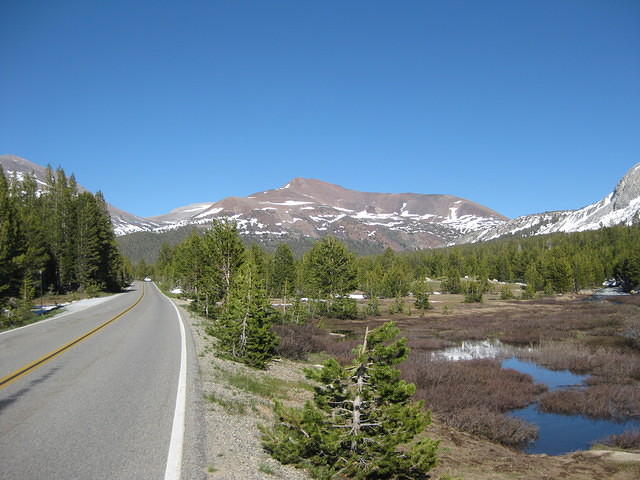 IMG 0970