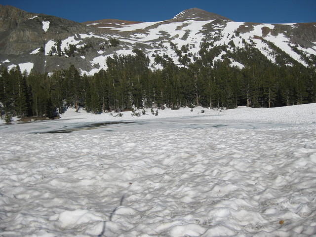 IMG 0972