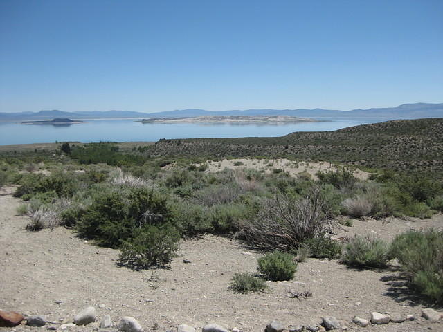 IMG 0985