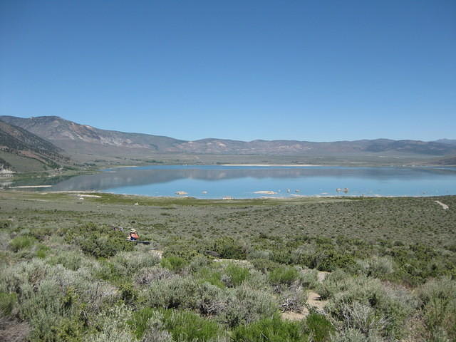 IMG 0986