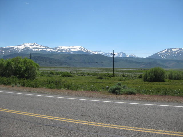 IMG 0989