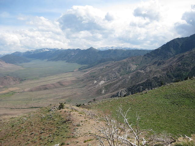 IMG 0996