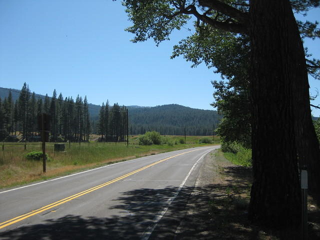 IMG 1004