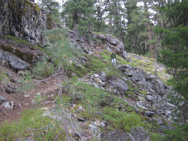 IMG 1058