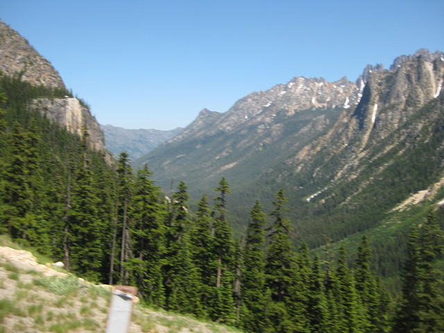 IMG 1078