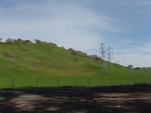 P4200009