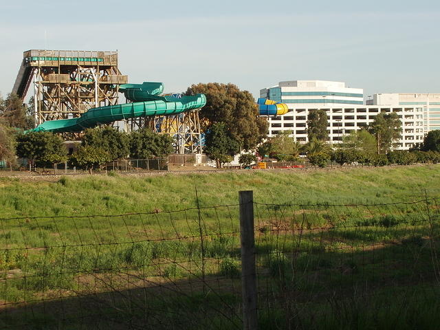 P4200016