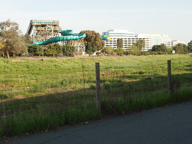 P4200017
