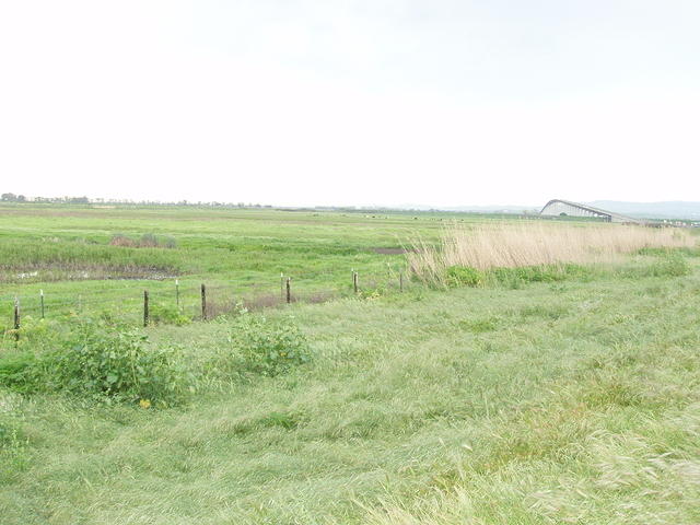 P4200020