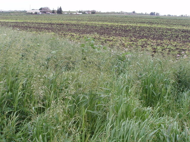P4200022.JPG