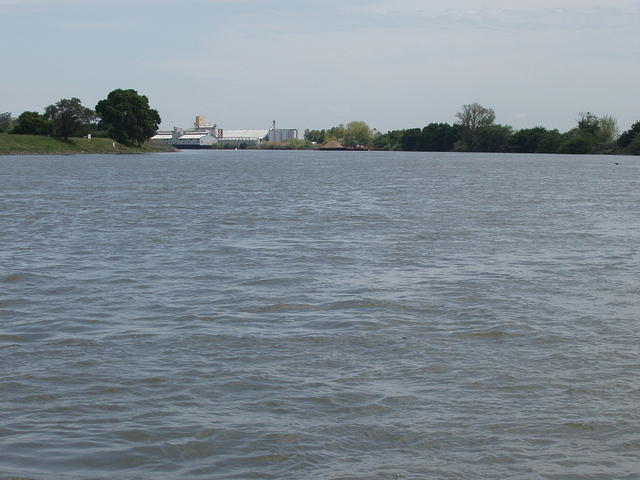 P4210028.JPG