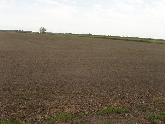 P4210032.JPG