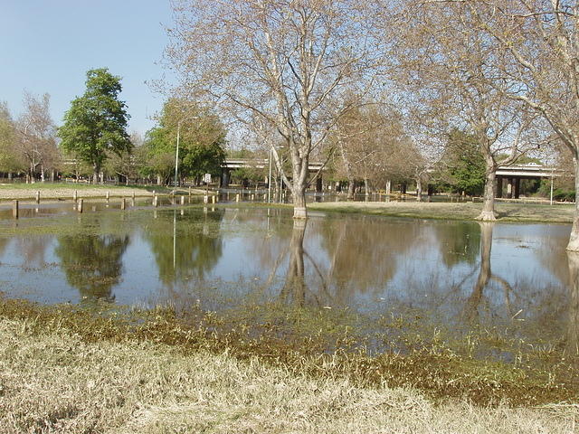 P4210037.JPG